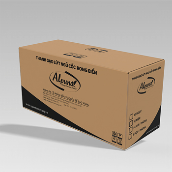 thiết kế thùng carton